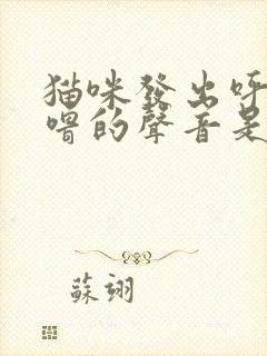 猫咪发出呼噜呼噜的声音是怎么回事