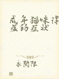 成年猫咪得了猫瘟的症状