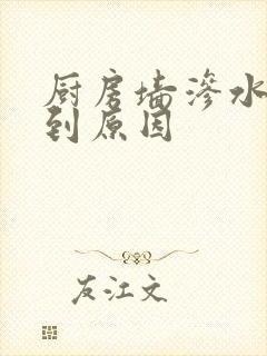 厨房墙渗水找不到原因