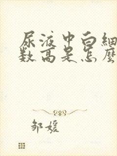 尿液中白细胞计数高是怎么回事