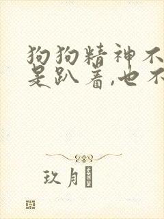 狗狗精神不好总是趴着,也不吃东西