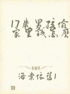 17岁男孩偷拿家里钱怎么办