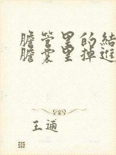 胆管里的结石是胆囊里掉进去的吗