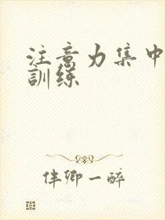 注意力集中培训训练