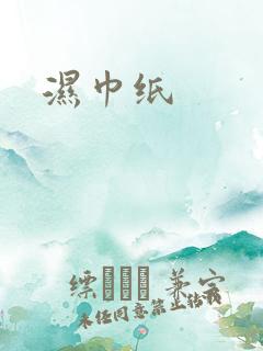 湿巾纸
