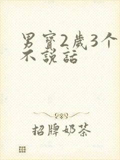 男宝2岁3个月不说话