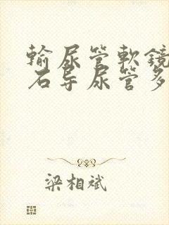 输尿管软镜取结石导尿管多久取出