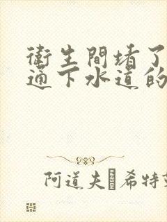 卫生间堵了了找通下水道的人