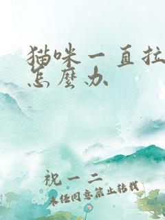 猫咪一直拉软便怎么办