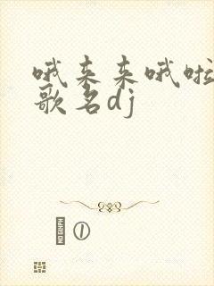 哦来来哦啦啦的歌名dj