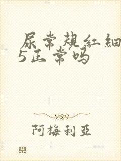 尿常规红细胞55正常吗