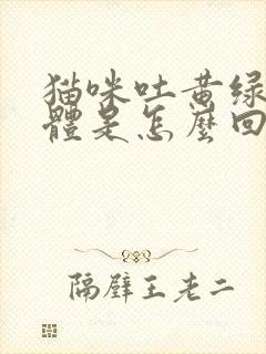 猫咪吐黄绿色液体是怎么回事