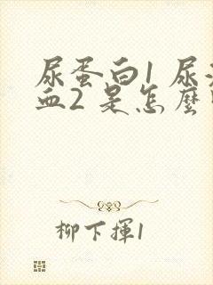 尿蛋白1 尿潜血2 是怎么回事?