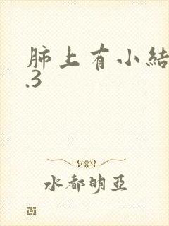 肺上有小结节0.3