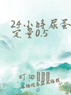 24小时尿蛋白定量0.5