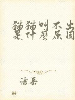 猫猫叫不出声音是什么原因