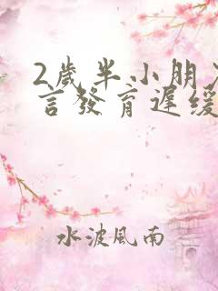 2岁半小朋友语言发育迟缓