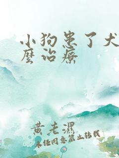 小狗患了犬瘟怎么治疗