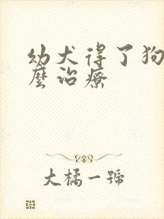 幼犬得了狗瘟怎么治疗