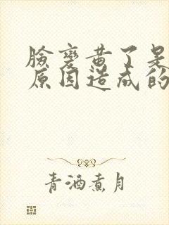 脸变黄了是什么原因造成的