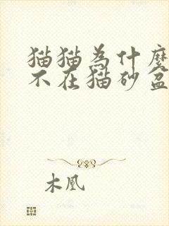 猫猫为什么突然不在猫砂盆拉屎拉尿了