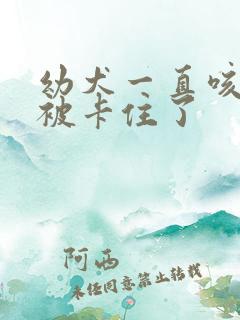 幼犬一直咳嗽像被卡住了