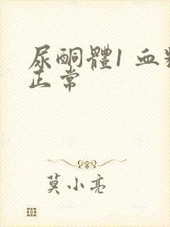 尿酮体1 血糖正常