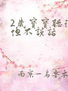 2岁宝宝听得懂但不说话