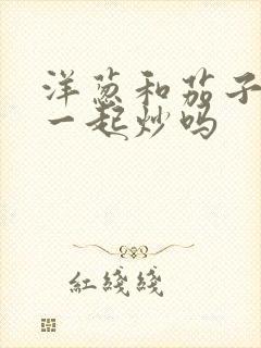 洋葱和茄子可以一起炒吗