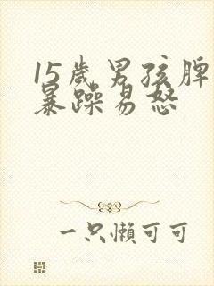 15岁男孩脾气暴躁易怒