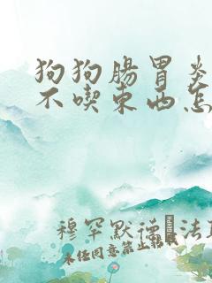 狗狗肠胃炎三天不吃东西怎么办