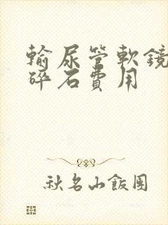 输尿管软镜激光碎石费用