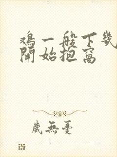 鸡一般下几个蛋开始抱窝