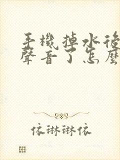 手机掉水后没有声音了怎么办