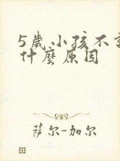 5岁小孩不说话什么原因