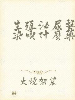 生殖泌尿系统感染吃什么药