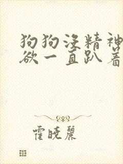 狗狗没精神没食欲一直趴着有眼屎