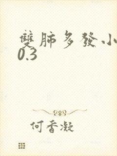 双肺多发小结节0.3