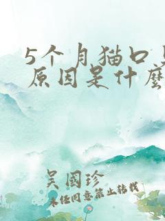 5个月猫口臭的原因是什么