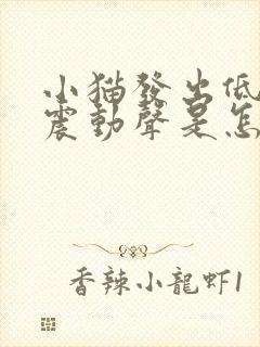 小猫发出低沉的震动声是怎么回事