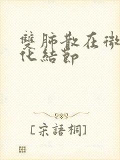 双肺散在微小钙化结节