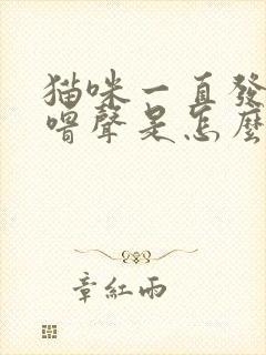 猫咪一直发出呼噜声是怎么了