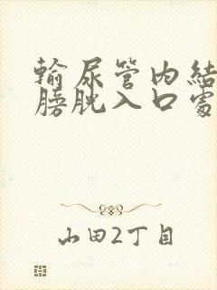 输尿管内结石在膀胱入口处