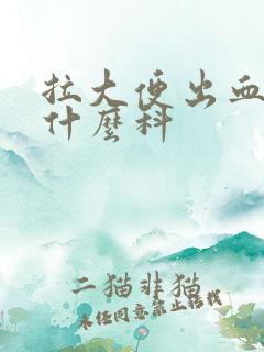 拉大便出血应挂什么科