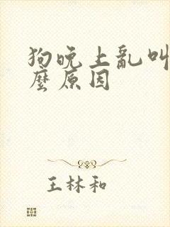 狗晚上乱叫是什么原因