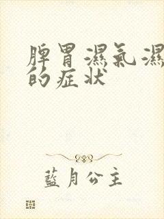 脾胃湿气湿热重的症状