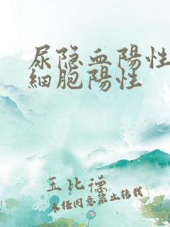 尿隐血阳性尿白细胞阳性