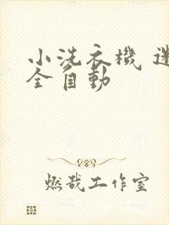 小洗衣机 迷你全自动