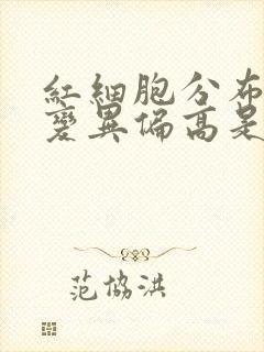 红细胞分布宽度变异偏高是怎么回事