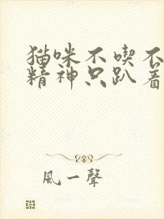 猫咪不吃不喝没精神只趴着,呕吐